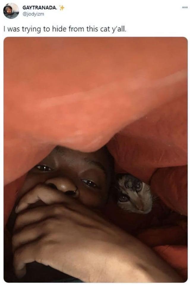I was GAYTRANADA. @jodyizm trying to hide from this cat y'all. 000