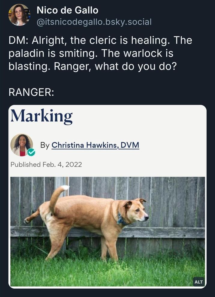 Nico de Gallo @itsnicodegallo.bsky.social DM: Alright, the cleric is healing. The paladin is smiting. The warlock is blasting. Ranger, what do you do? RANGER: Marking By Christina Hawkins, DVM Published Feb. 4, 2022 ALT