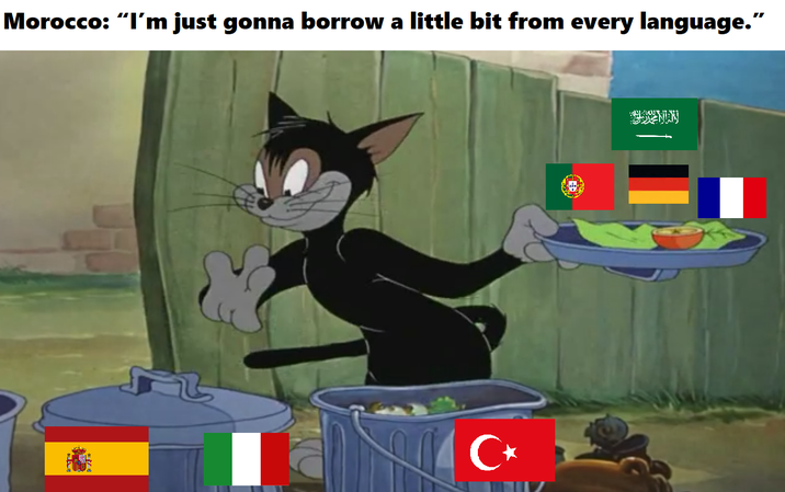 Morocco: "I'm just gonna borrow a little bit from every language." С* BRENDY