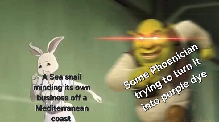 A Sea snail minding its own business off a Mediterranean coast Some Phoenician trying to turn it into purple dye