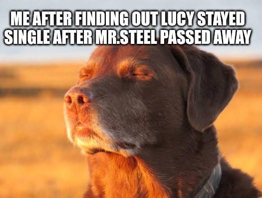 ME AFTER FINDING OUT LUCY STAYED SINGLE AFTER MR.STEEL PASSED AWAY