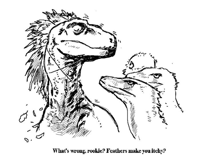 What's wrong, rookie? Feathers make you itchy?