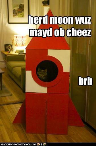 herd moon wuZ mayd ob cheez ICANHASCHEEZBURGER.COM brb