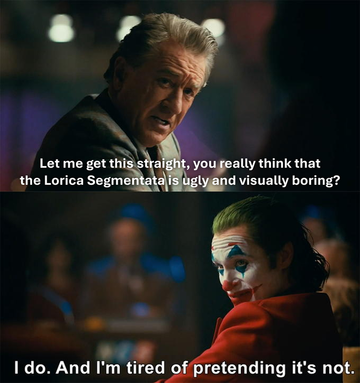 Let me get this straight, you really think that the Lorica Segmentata is ugly and visually boring? I do. And I'm tired of pretending it's not.