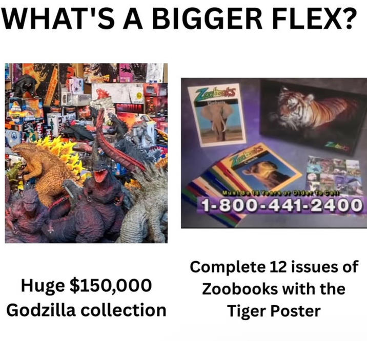 WHAT'S A BIGGER FLEX? Zoobooks Wendants Zdbooks MUDIBO 19 Vooro or older to com 1-800-441-2400 Huge $150,000 Godzilla collection Complete 12 issues of Zoobooks with the Tiger Poster