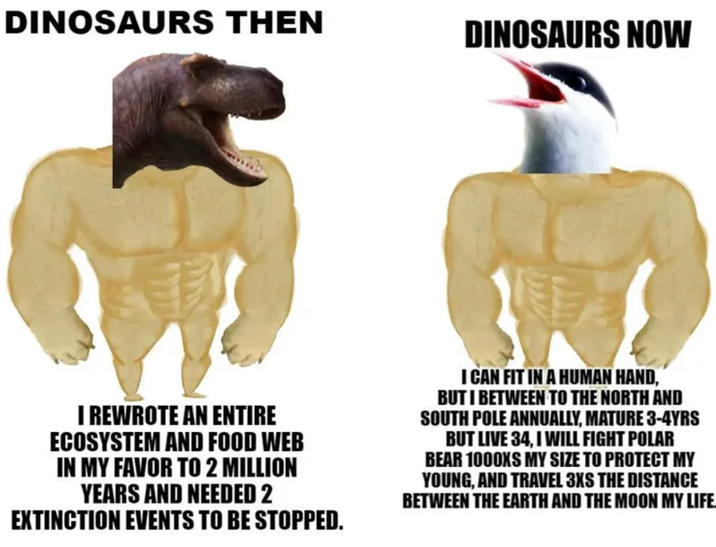 DINOSAURS THEN DINOSAURS NOW I REWROTE AN ENTIRE ECOSYSTEM AND FOOD WEB IN MY FAVOR TO 2 MILLION YEARS AND NEEDED 2 EXTINCTION EVENTS TO BE STOPPED. I CAN FIT IN A HUMAN HAND, BUT I BETWEEN TO THE NORTH AND SOUTH POLE ANNUALLY, MATURE 3-4YRS BUT LIVE 34, I WILL FIGHT POLAR BEAR 1000KS MY SIZE TO PROTECT MY YOUNG, AND TRAVEL 3XS THE DISTANCE BETWEEN THE EARTH AND THE MOON MY LIFE
