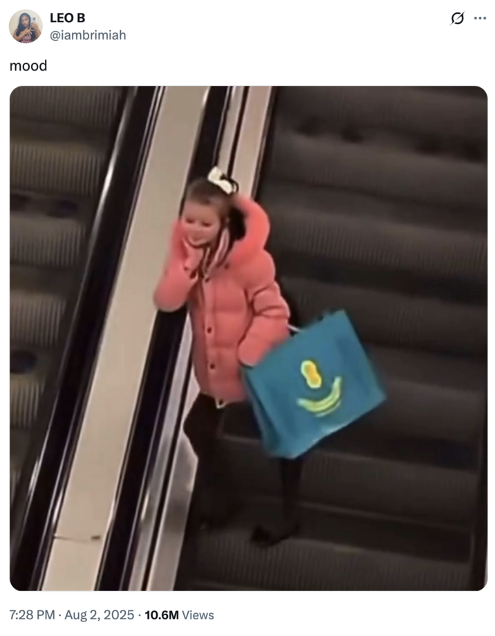 August 2nd, 2025 tweet by @iambrimiah X user @iambrimiah posted an image of a little girl dressed in a pink jacket fighting with an older woman and tugging on her hair in a mall in Manchester, England. The image shows the little girl smiling while leaning on an escalator with her chin resting on her hand.