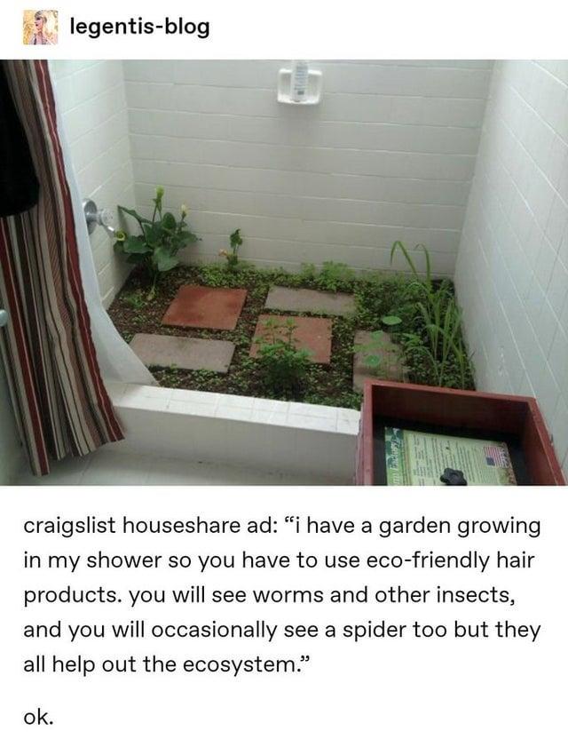 legentis-blog craigslist houseshare ad: "i have a garden growing in my shower so you have to use eco-friendly hair products. you will see worms and other insects, and you will occasionally see a spider too but they all help out the ecosystem." ok.