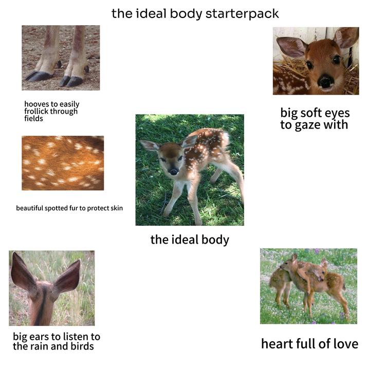 hooves to easily frollick through fields the ideal body starterpack beautiful spotted fur to protect skin big ears to listen to the rain and birds the ideal body big soft eyes to gaze with heart full of love