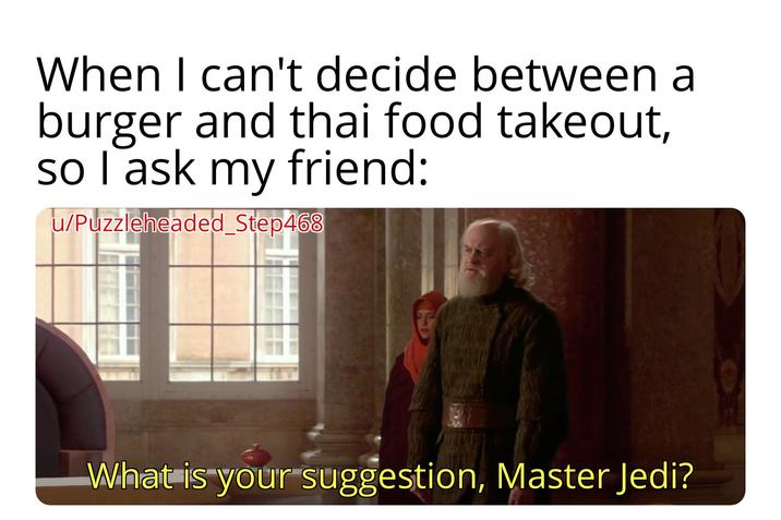 When I can't decide between a burger and thai food takeout, so I ask my friend: u/Puzzleheaded Step468 What is your suggestion, Master Jedi?