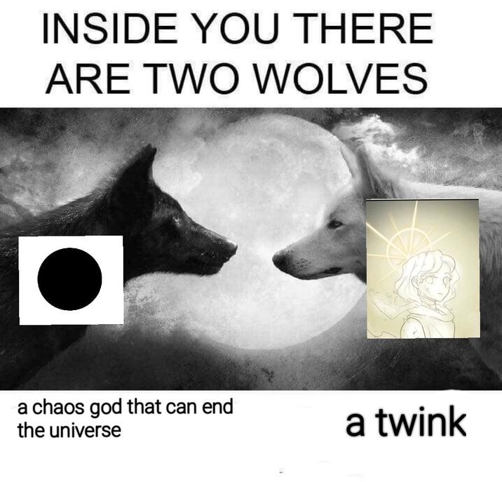 INSIDE YOU THERE ARE TWO WOLVES a chaos god that can end the universe a twink