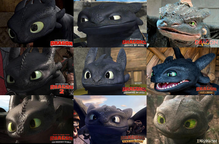 HOW TO TRAIN YOUR DRAGON DREAMWORKS DRAGONS RIDERS OF BERK DREAMWORKS HOW TO TRAIN YOUR DRAGON LIVE SPECTACULAR HOW TO TRAIN YOUR DRAGON 2 DREAMWORKS DRAGONS DEFENDERS OF BERK HOW TO TRAIN YOUR DRAGON ISLE of BERK HOW TO TRAIN YOUR DRAGON THE HIDDEN WORLD WORKS DRAGONS RACE TO THE EDGE HOW TO TRAIN YOUR DRAGON