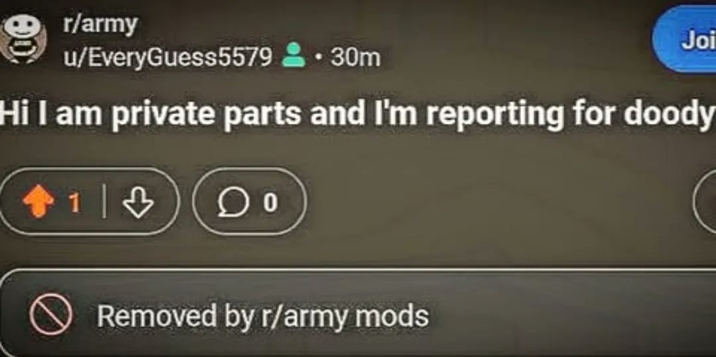 r/army u/EveryGuess5579.30m Joi Hi I am private parts and I'm reporting for doody Removed by r/army mods