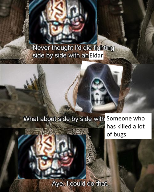 Never thought I'd die fighting side by side with an Eldar What about side by side with Someone who Sp Aye. I could do that. has killed a lot of bugs