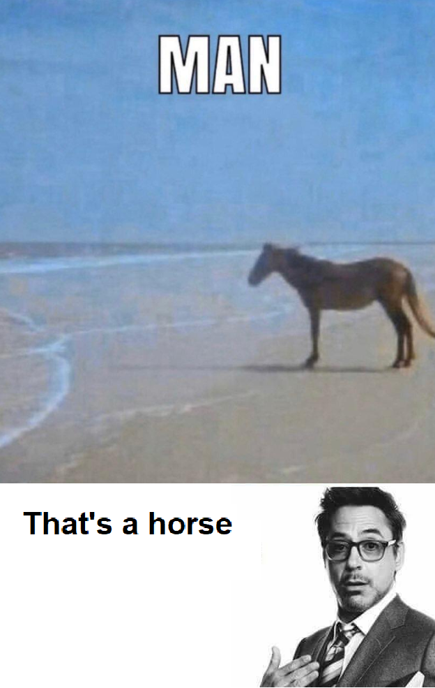 MAN That's a horse