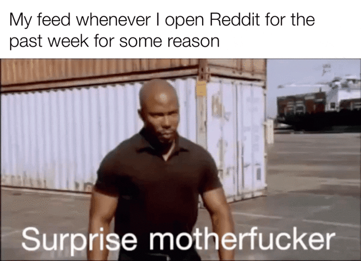 My feed whenever I open Reddit for the past week for some reason Surprise m-----------