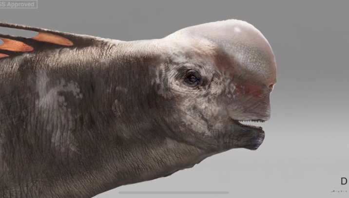 SS Approved D SILVIA