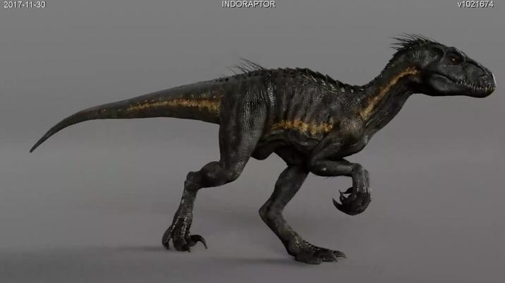 2017-11-30 INDORAPTOR v1021674