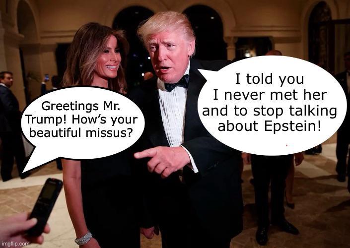 Greetings Mr. Trump! How's your beautiful missus? I told you I never met her and to stop talking about Epstein! imgflip.com