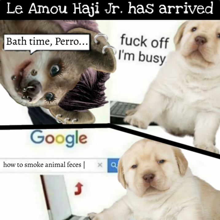 Le Amou Haji Jr. has arrived Bath time, Perro... f--- off I'm busy Google how to smoke animal feces xa J |
