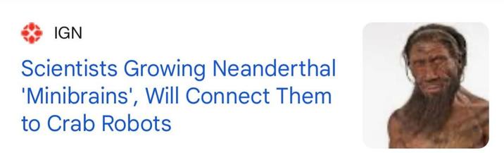 IGN Scientists Growing Neanderthal 'Minibrains', Will Connect Them to Crab Robots