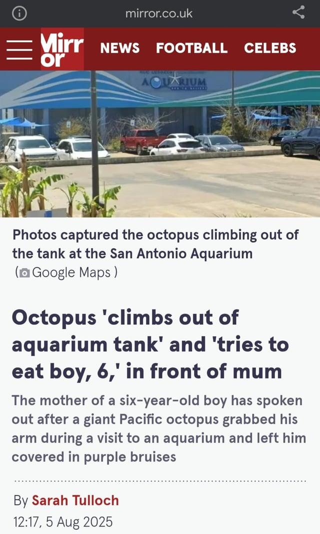 = mirror.co.uk Mirr NEWS or FOOTBALL CELEBS AQUARIUM Photos captured the octopus climbing out of the tank at the San Antonio Aquarium (Google Maps) Octopus 'climbs out of aquarium tank' and 'tries to eat boy, 6,' in front of mum The mother of a six-year-old boy has spoken out after a giant Pacific octopus grabbed his arm during a visit to an aquarium and left him covered in purple bruises By Sarah Tulloch 12:17, 5 Aug 2025