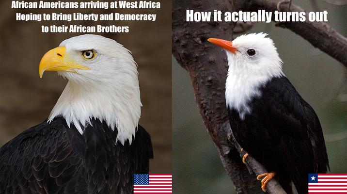 African Americans arriving at West Africa Hoping to Bring Liberty and Democracy to their African Brothers How it actually turns out