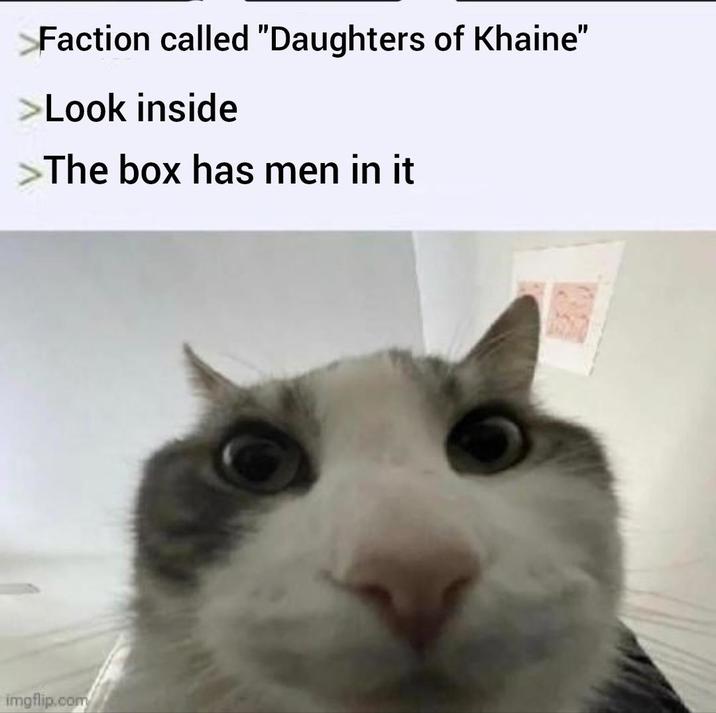 Faction called "Daughters of Khaine" Look inside The box has men in it imgflip.com
