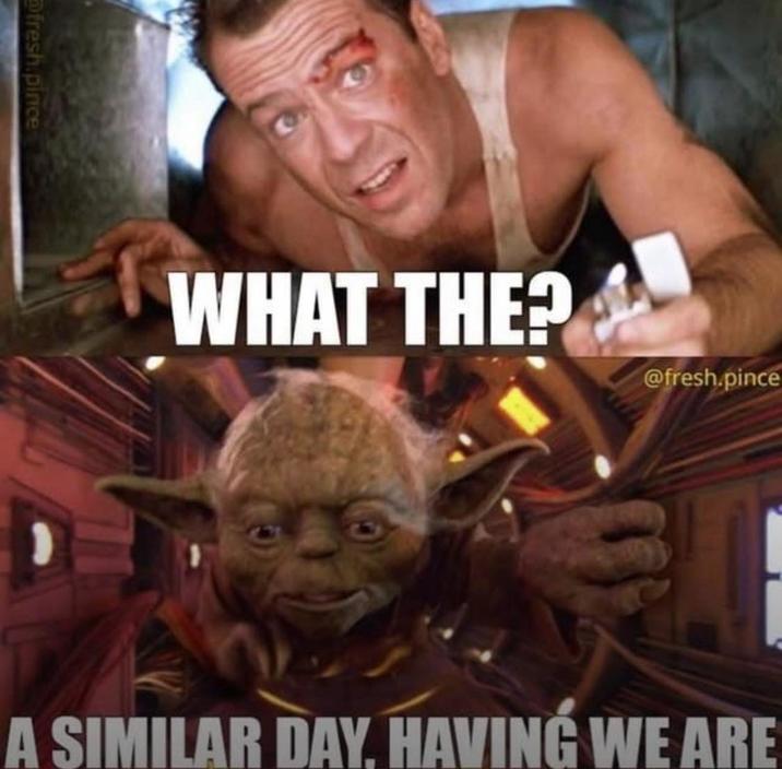 fresh.pince WHAT THE? @fresh.pince A SIMILAR DAY. HAVING WE ARE