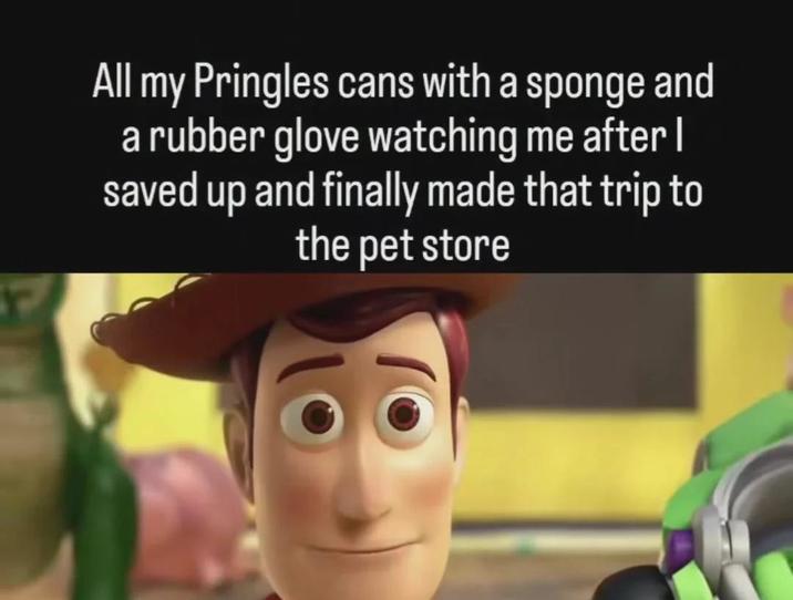 All my Pringles cans with a sponge and a rubber glove watching me after I saved up and finally made that trip to the pet store