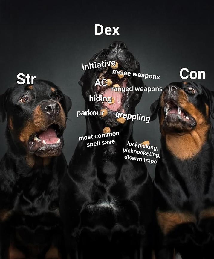 Dex Str initiative AC hiding melee weapons ranged weapons parkour grappling most common spell save lockpicking, pickpocketing, disarm traps Con