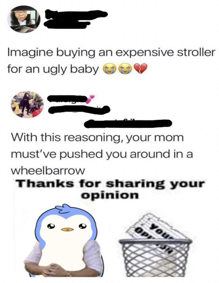 Imagine buying an expensive stroller for an ugly baby With this reasoning, your mom must've pushed you around in a wheelbarrow Thanks for sharing your opinion OP you