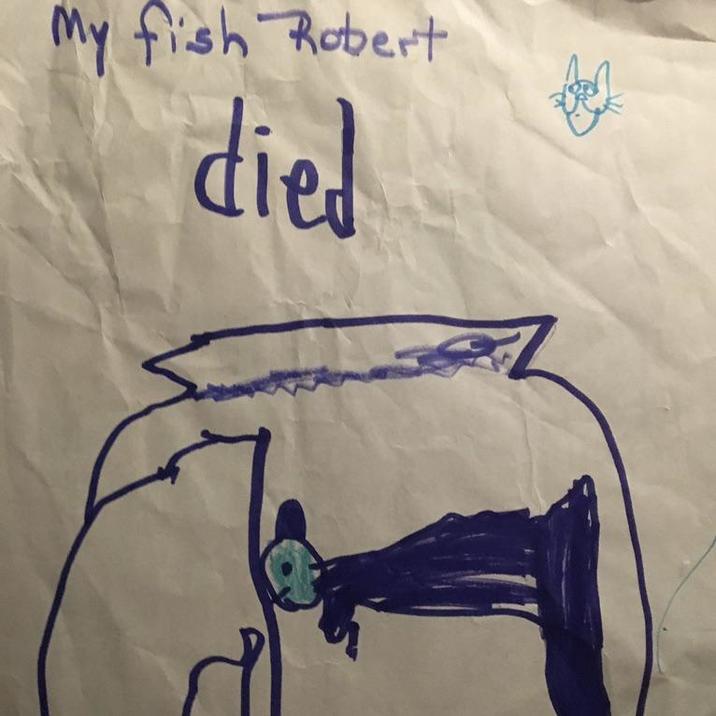 My fish Robert died