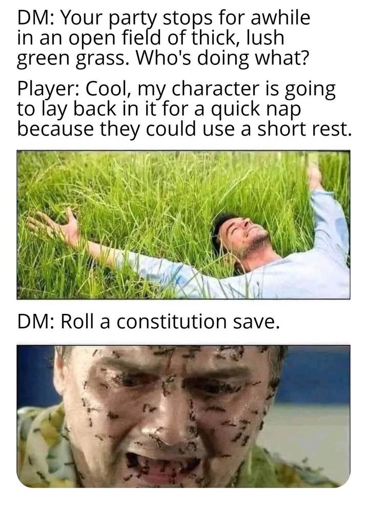 DM: Your party stops for awhile in an open field of thick, lush green grass. Who's doing what? Player: Cool, my character is going to lay back in it for a quick nap because they could use a short rest. DM: Roll a constitution save.