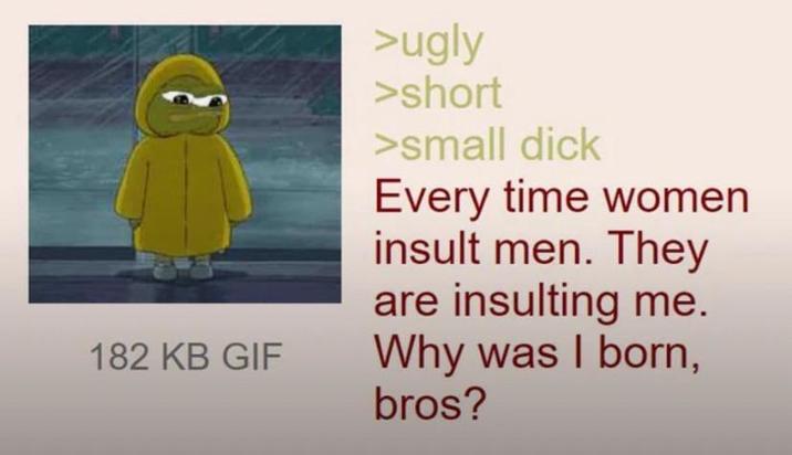 >ugly >short >small d--- Every time women insult men. They are insulting me. 182 KB GIF Why was I born, bros?