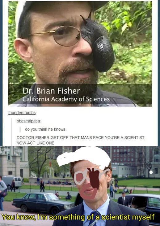 Dr. Brian Fisher California Academy of Sciences thundercrumbs obesealpaca do you think he knows DOCTOR FISHER GET OFF THAT MANS FACE YOU'RE A SCIENTIST NOW ACT LIKE ONE a You know, I'm something of a scientist myself