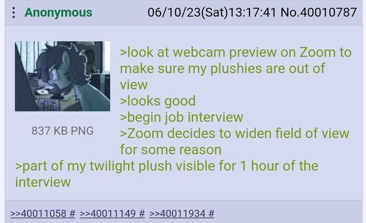 Anonymous 837 KB PNG 06/10/23(Sat) 13:17:41 No.40010787 >look at webcam preview on Zoom to make sure my plushies are out of view >looks good >begin job interview >Zoom decides to widen field of view for some reason >part of my twilight plush visible for 1 hour of the interview >>40011058 # >>40011149 # >>40011934 #