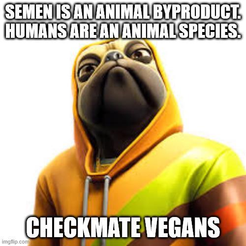 SEMEN IS AN ANIMAL BYPRODUCT. HUMANS ARE AN ANIMAL SPECIES. imgflip.com CHECKMATE VEGANS