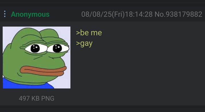 Anonymous 08/08/25(Fri)18:14:28 No.938179882 >be me >gay 497 KB PNG