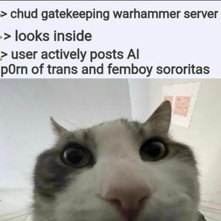 > chud gatekeeping warhammer server looks inside > user actively posts Al p--- of trans and femboy sororitas