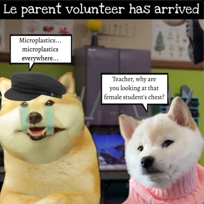 Le parent volunteer has arrived Microplastics... microplastics everywhere... Teacher, why are you looking at that female student's chest?