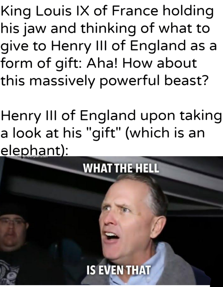 King Louis IX of France holding his jaw and thinking of what to give to Henry III of England as a form of gift: Aha! How about this massively powerful beast? Henry III of England upon taking a look at his "gift" (which is an elephant): aykhantierpartesar WHAT THE HELL IS EVEN THAT