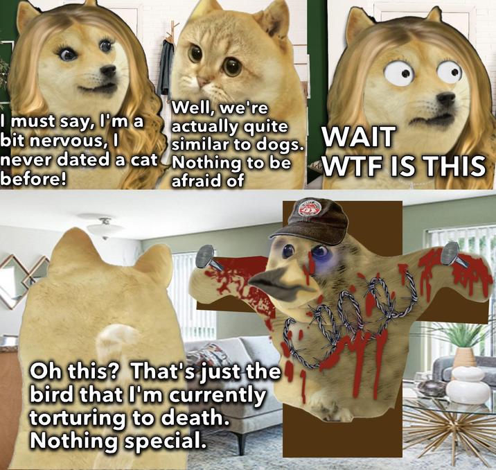 I must say, I'm a bit nervous, I never dated a cat before! Well, we're actually quite similar to dogs. Nothing to be afraid of WAIT W-- IS THIS Ki SHEETS Oh this? That's just the bird that I'm currently torturing to death. Nothing special.