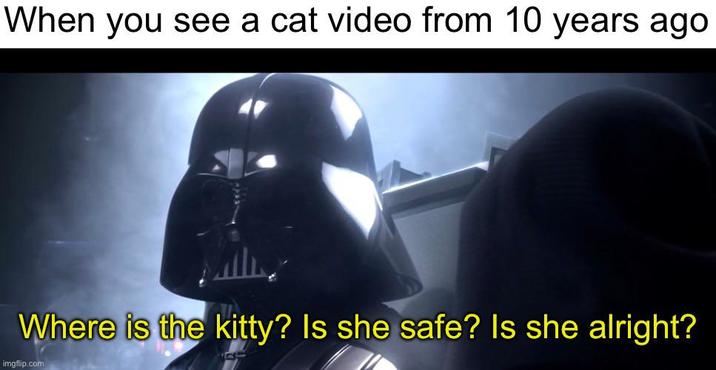 When you see a cat video from 10 years ago Where is the kitty? Is she safe? Is she alright? imgflip.com