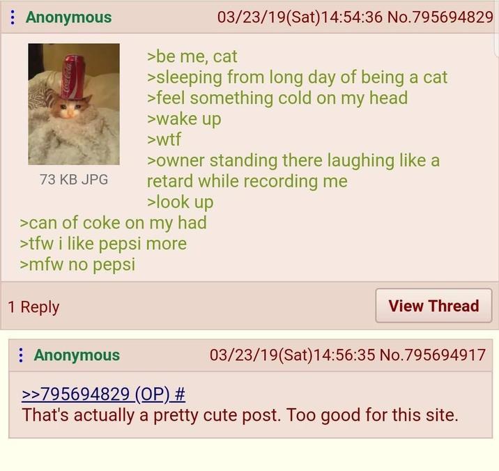 Anonymous 73 KB JPG 03/23/19(Sat) 14:54:36 No.795694829 >be me, cat >sleeping from long day of being a cat >feel something cold on my head >wake up >w-- >owner standing there laughing like a retard while recording me >look up >can of coke on my had >tfw i like pepsi more >mfw no pepsi 1 Reply View Thread : Anonymous >>795694829 (OP) # 03/23/19(Sat) 14:56:35 No.795694917 That's actually a pretty cute post. Too good for this site.