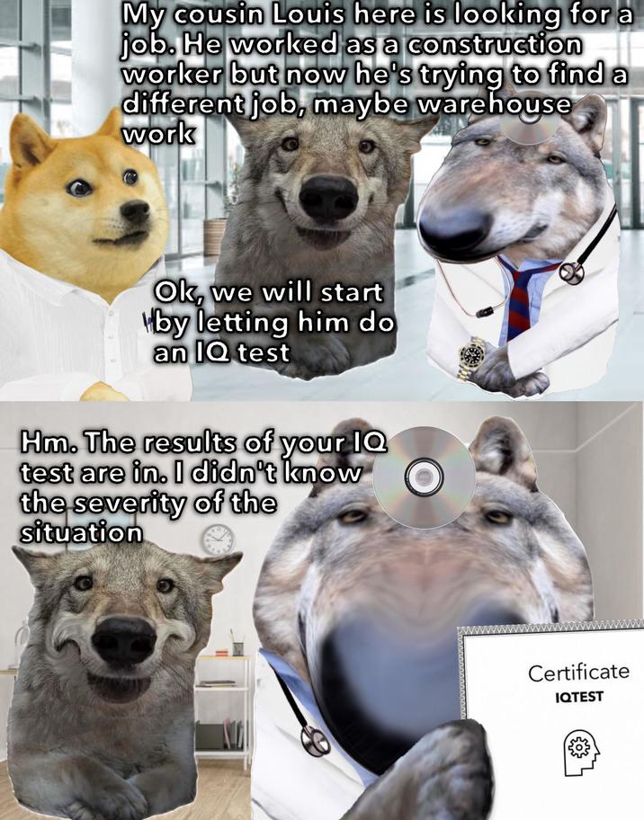 My cousin Louis here is looking for a job. He worked as a construction worker but now he's trying to find a different job, maybe warehouse work Ok, we will start by letting him do an IQ test Hm. The results of your IQ test are in. I didn't know the severity of the situation Certificate IQTEST