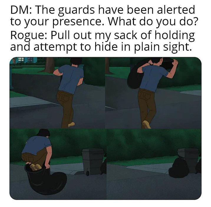 DM: The guards have been alerted to your presence. What do you do? Rogue: Pull out my sack of holding and attempt to hide in plain sight.