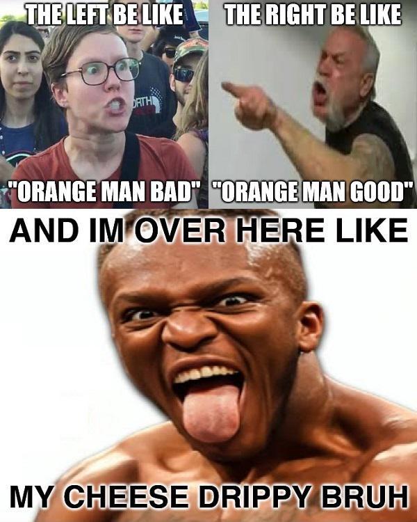 THE LEFT BE LIKE THE RIGHT BE LIKE ORTH "ORANGE MAN BAD" "ORANGE MAN GOOD" AND IM OVER HERE LIKE MY CHEESE DRIPPY BRUH