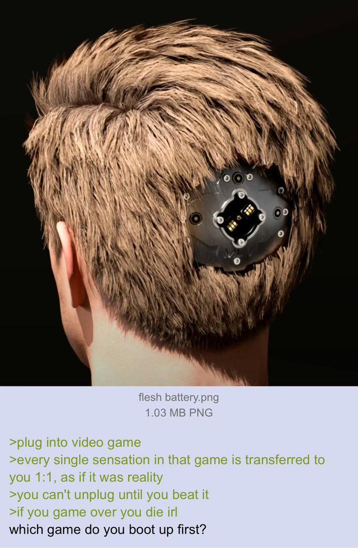 >plug into video game flesh battery.png 1.03 MB PNG >every single sensation in that game is transferred to you 1:1, as if it was reality >you can't unplug until you beat it >if you game over you die irl which game do you boot up first?