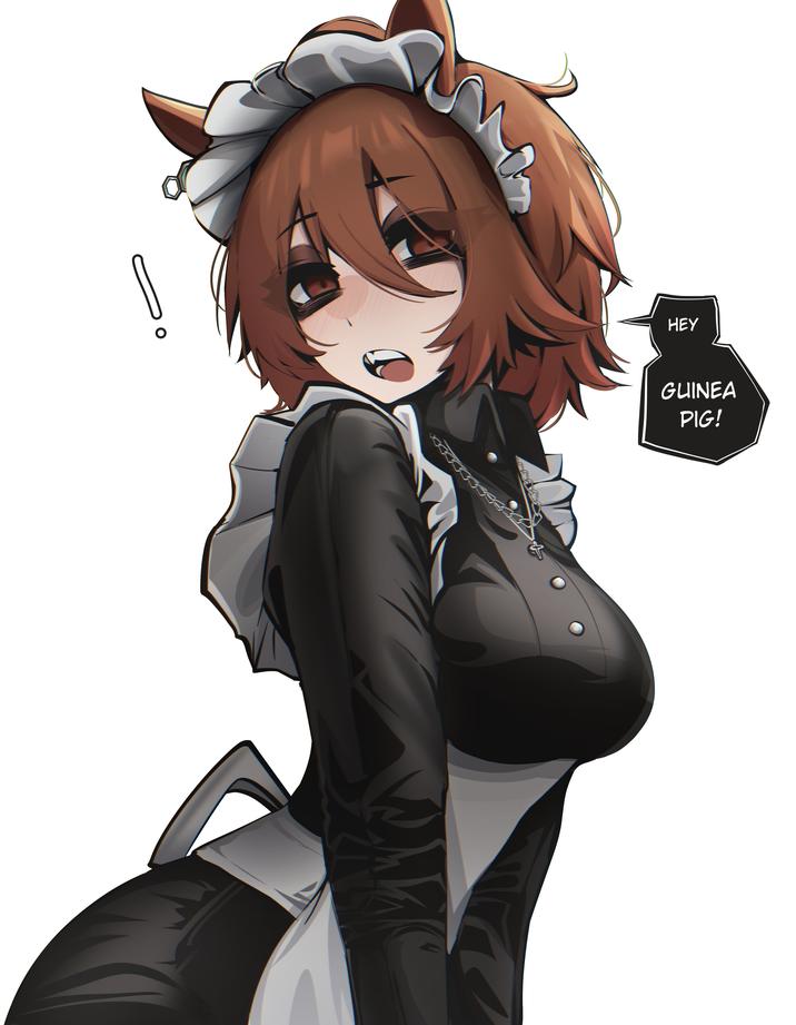HEY GUINEA PIG!